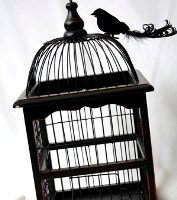 Bird Cage Wishing Well